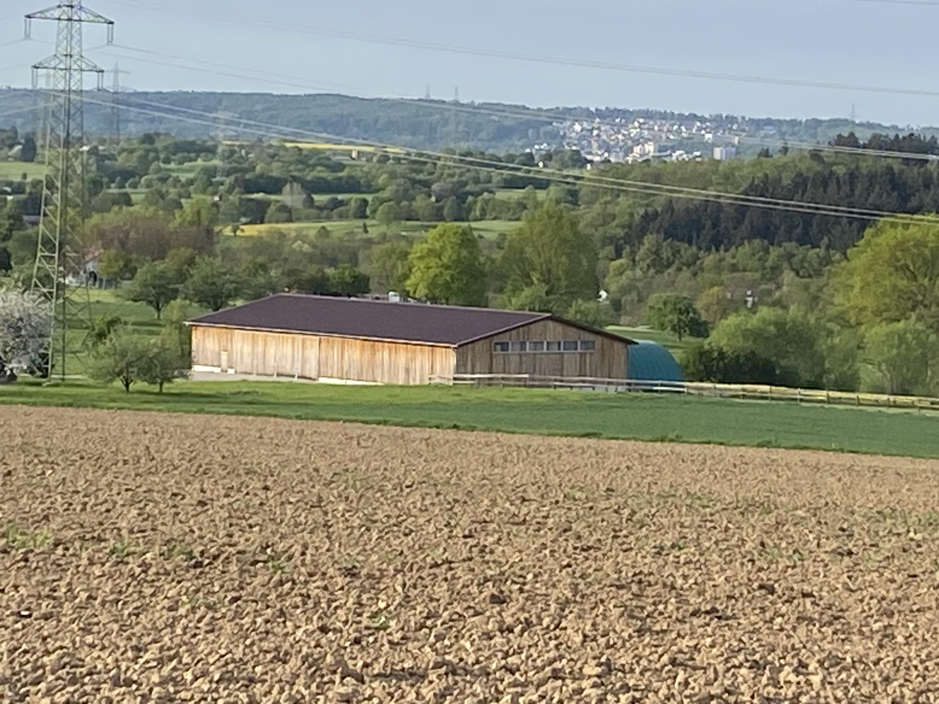 Blick über ein gepflegtes, leicht hügeliges Feld in ruhiger Landschaft